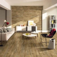 Flooring & Wall